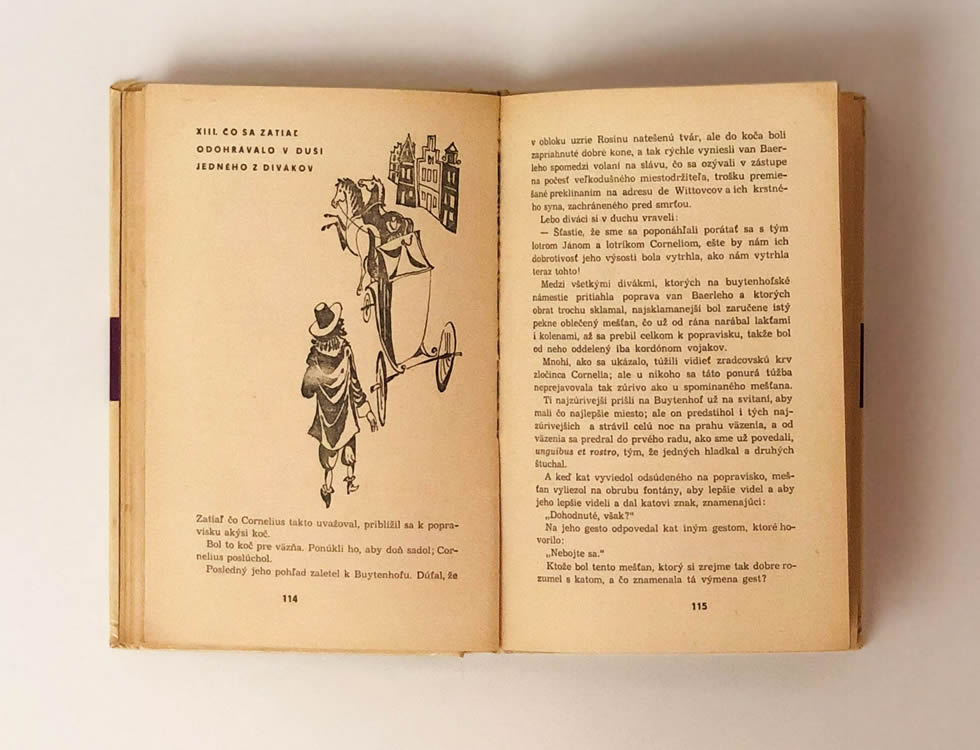 Čierny tulipán Alexandre Dumas