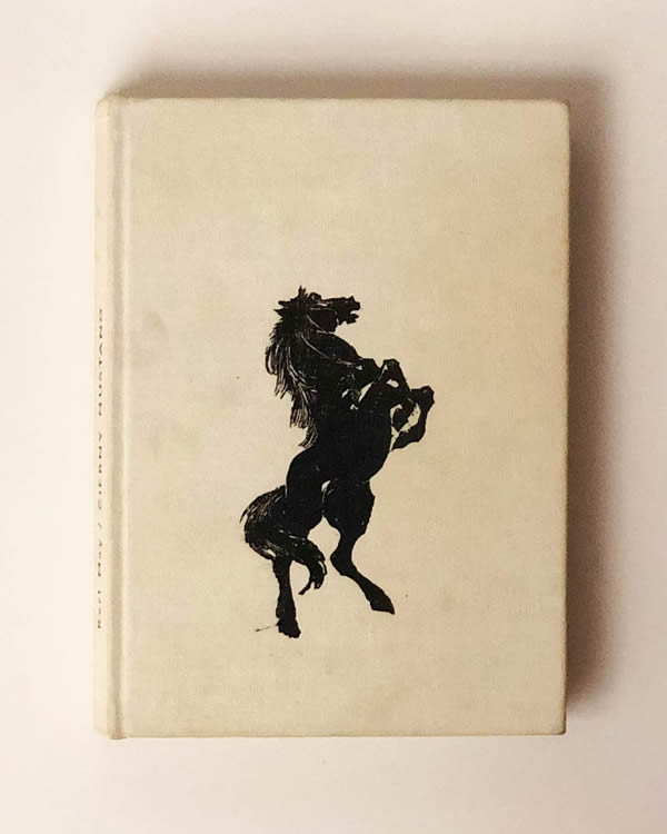 Čierny mustang- Karl May