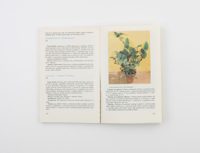 Pokojové rostliny - Karel Hieke