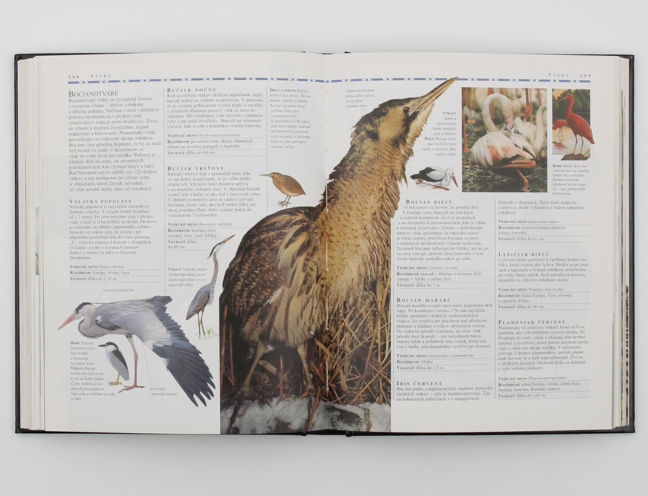 Praktická encyklopédia zvierat
