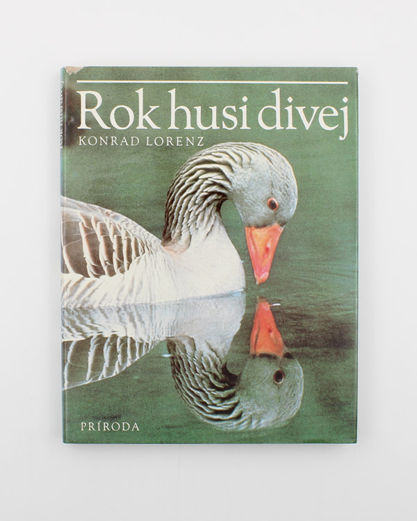 Rok husi divej