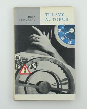 Túlavý autobus