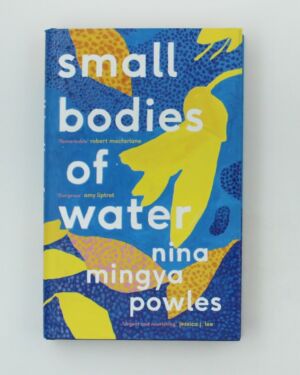 Small Bodies of Water