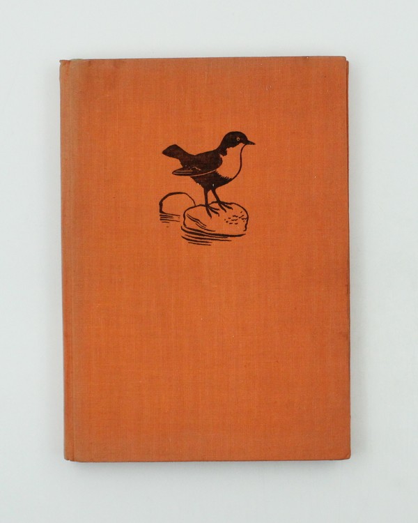 Na slnečnom chodníku