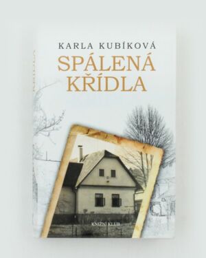 Spálená křídla